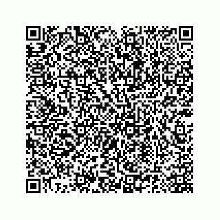 vCard 78185140389
