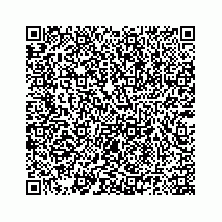 vCard 78185140390