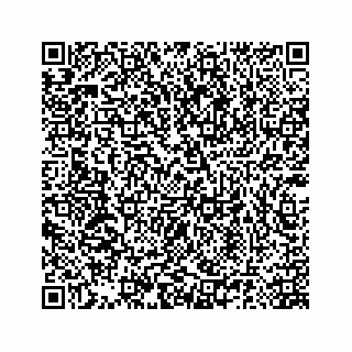 vCard 78185140397