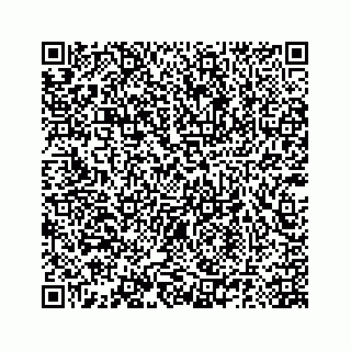 vCard 78185140398