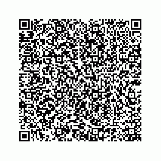 vCard 78185140399