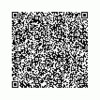 vCard 78185256004