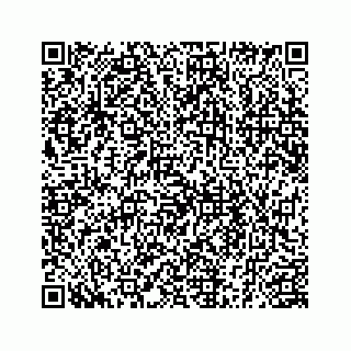 vCard 78185256013