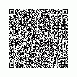 vCard 78185256017
