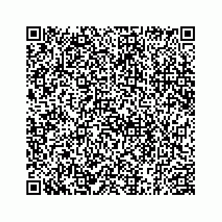 vCard 78185256029