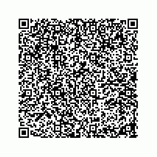 vCard 78185256101