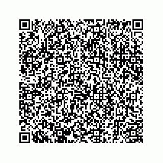 vCard 78185256102