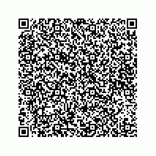 vCard 78185256131