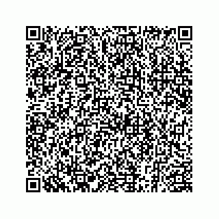 vCard 78185256133