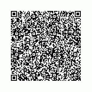 vCard 78185256208
