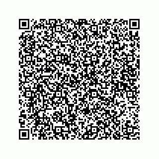vCard 78185256209
