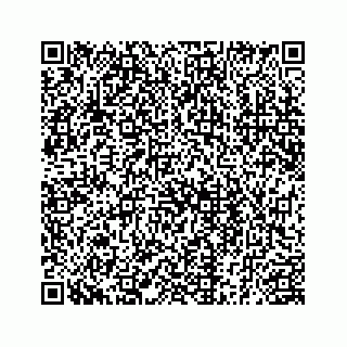 vCard 78185256311
