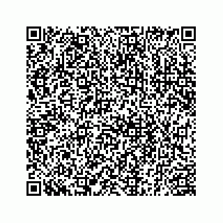 vCard 78185256313