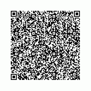 vCard 78185256317