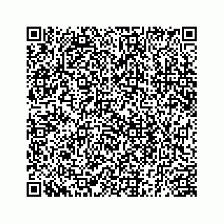 vCard 78185256319