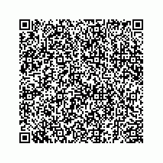 vCard 78185256381