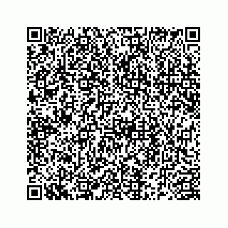 vCard 78185256384