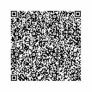 vCard 78185256387