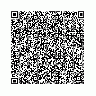 vCard 78185263089