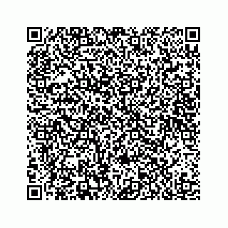 vCard 78185263310