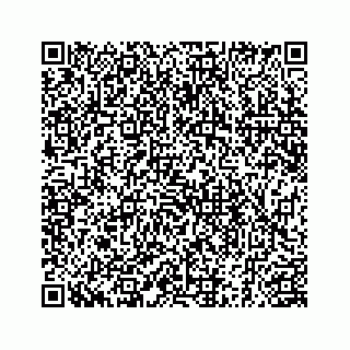 vCard 78185263358