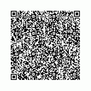 vCard 78185263378