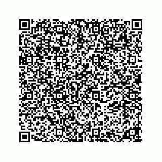 vCard 78185263383