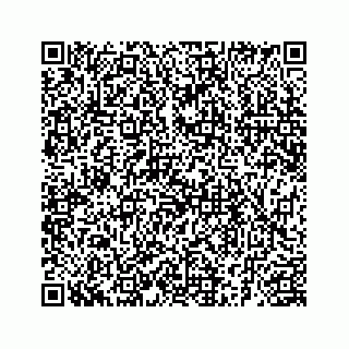 vCard 78185263395