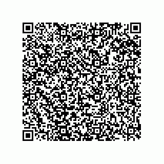 vCard 78185331007