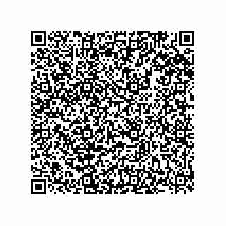vCard 78185331069