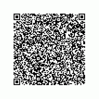vCard 78185331086