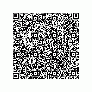 vCard 78185331304
