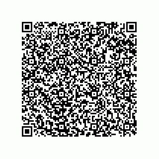 vCard 78185332100
