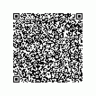 vCard 78185332132