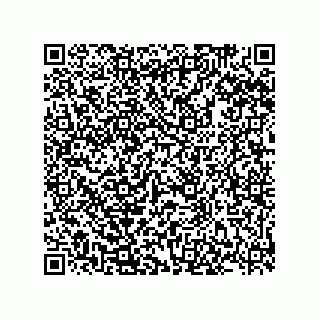 vCard 78185332133