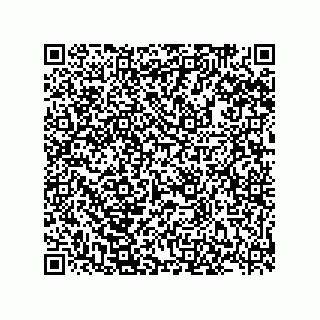 vCard 78185332203