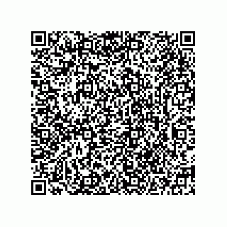 vCard 78185332221
