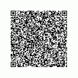 vCard 78185360321