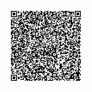 vCard 78185431879