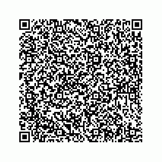 vCard 78185431889