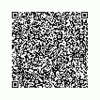 vCard 78185432967