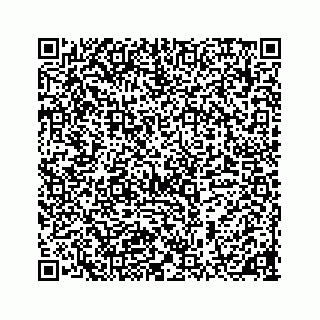vCard 78185433022