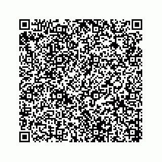 vCard 78185433040