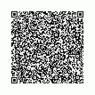 vCard 78185433041