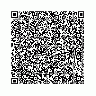 vCard 78185433079
