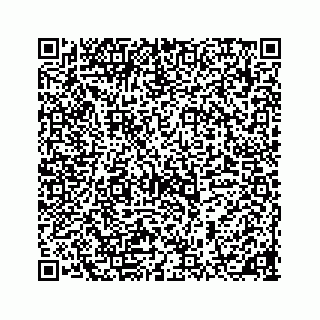vCard 78185433089