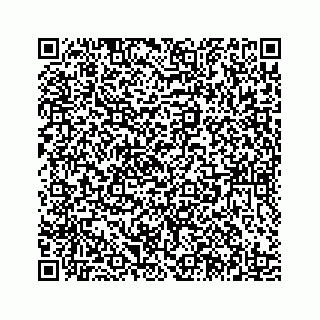 vCard 78185433111