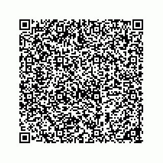 vCard 78185433121