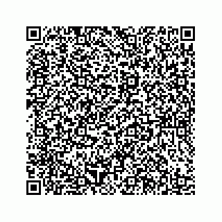 vCard 78185433133