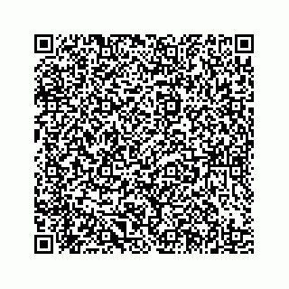 vCard 78185433137
